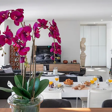 La Dame De France - Apartamento Perpiñán